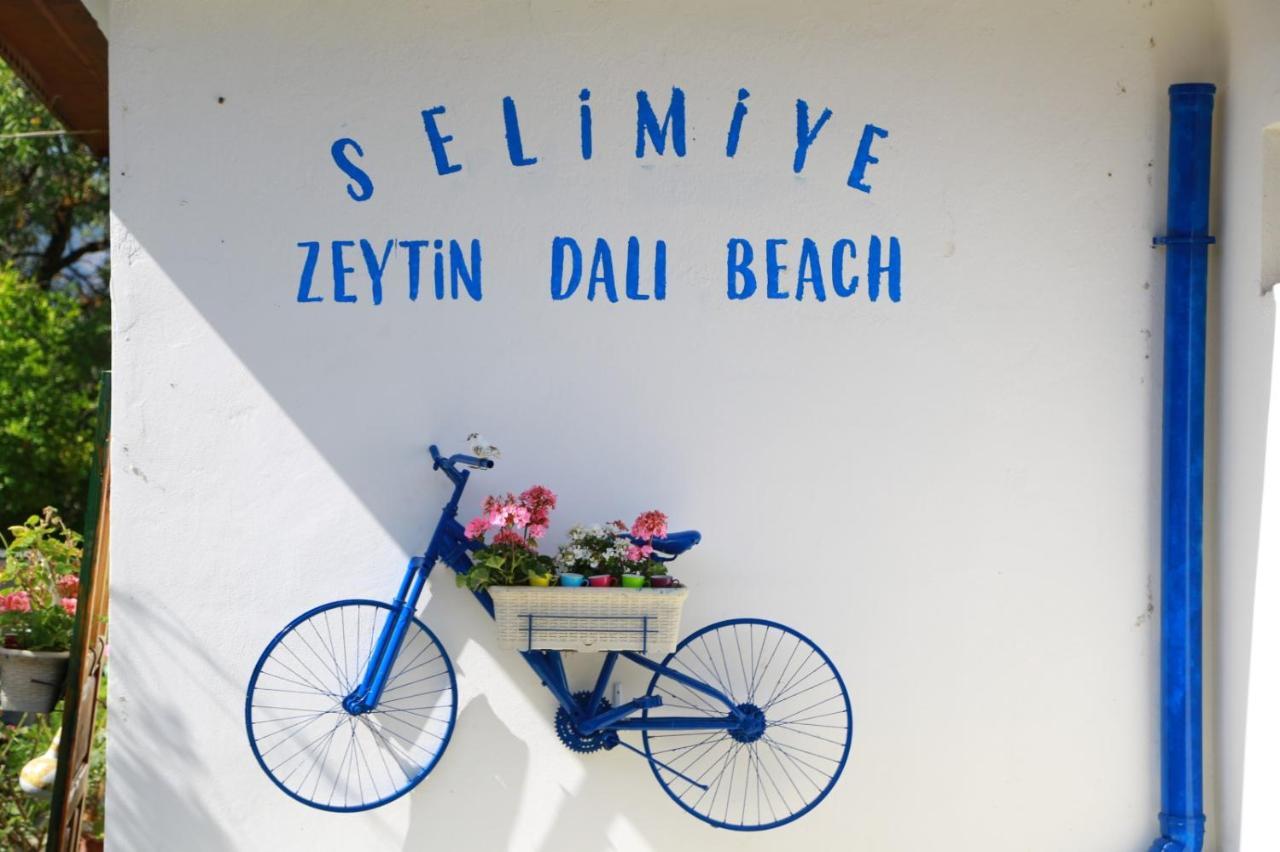 Zeytin Dali Butik Otel Селемие Экстерьер фото